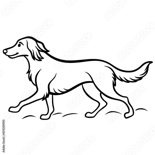 Dog breeds coloring pages