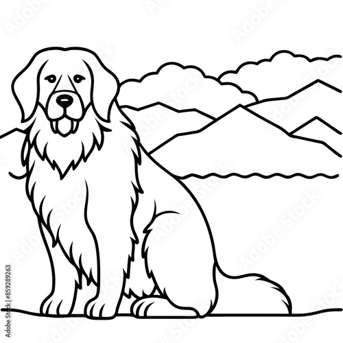 Dog breeds coloring pages