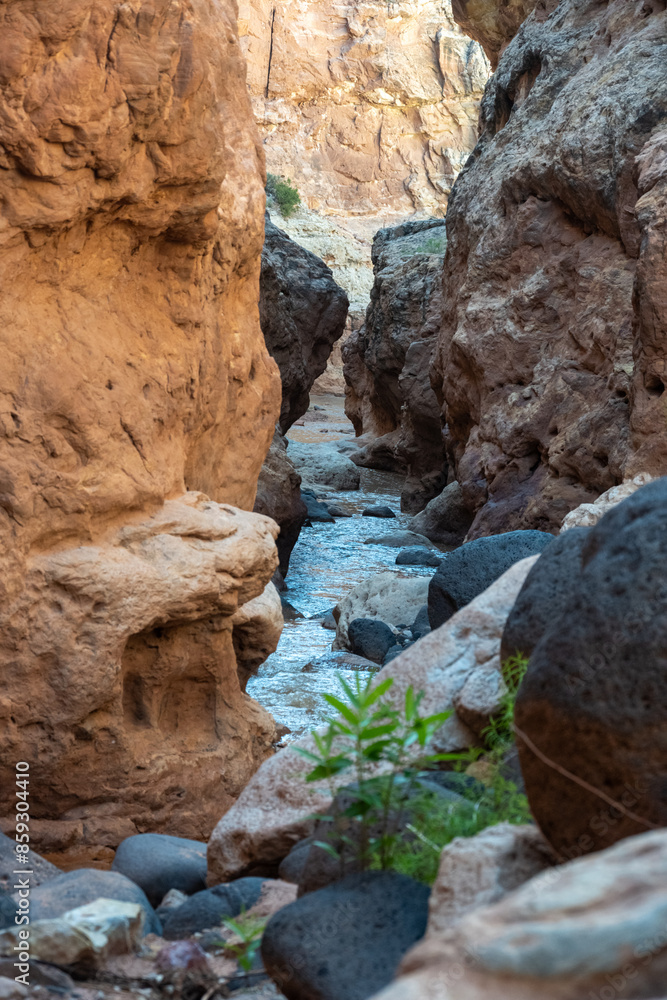 Sulphur Creek Cuts Through Narrow Canyon In Capitol Reef Sulphur Creek Cuts Through Narrow Canyon In Capitol Reef
