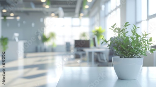 Green Plant in a White Pot on a Table in an Office © addymawy