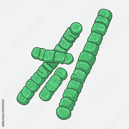 Microchaete tenera is a cyanobacterium found in aquatic environments, known for photosynthesis and nitrogen fixation. It forms filamentous structures and can contribute to both ecological balance and 