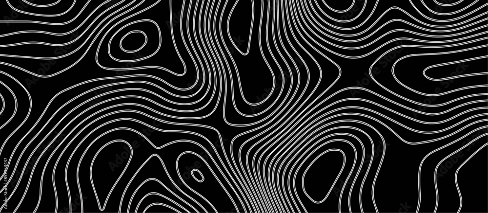 Abstract black background paper cut style with white wave curve line Luxury concept. Panorama view topography map contour background. Vector illustration. Line topography map contour background. Abstract black background paper cut style with white wave curve line Luxury concept. Panorama view topography map contour background. Vector illustration. Line topography map contour background.