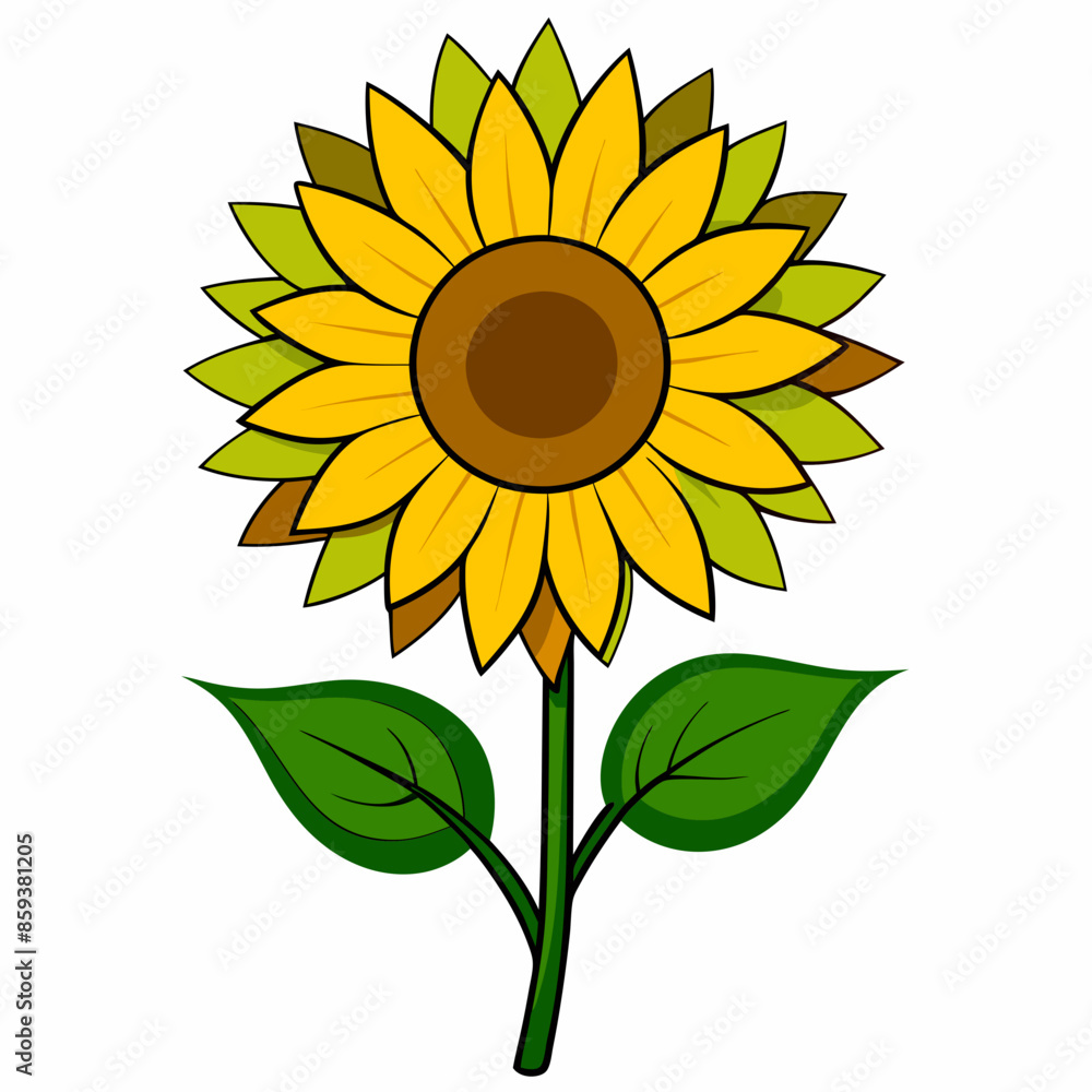 Fototapeta premium vector illustration of sunflower