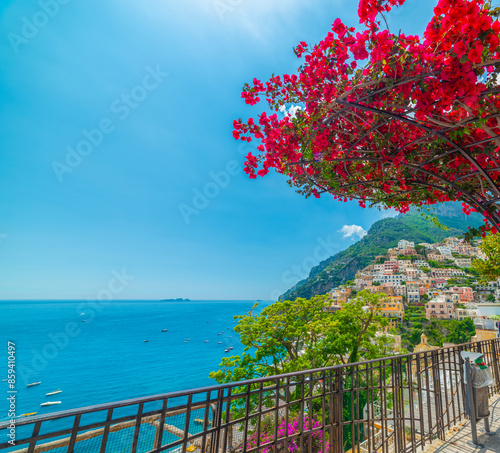 Fototapeta Naklejka Na Ścianę i Meble -  Bougainvillea tree by the shore in Positano