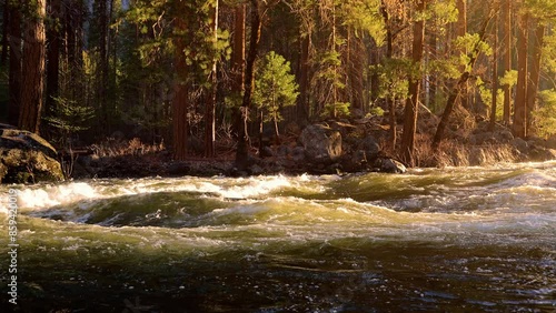 Seamlessly looping video of the morning sun on the Merced River as it runs through Yosemite National Park in California. Slow Motion.