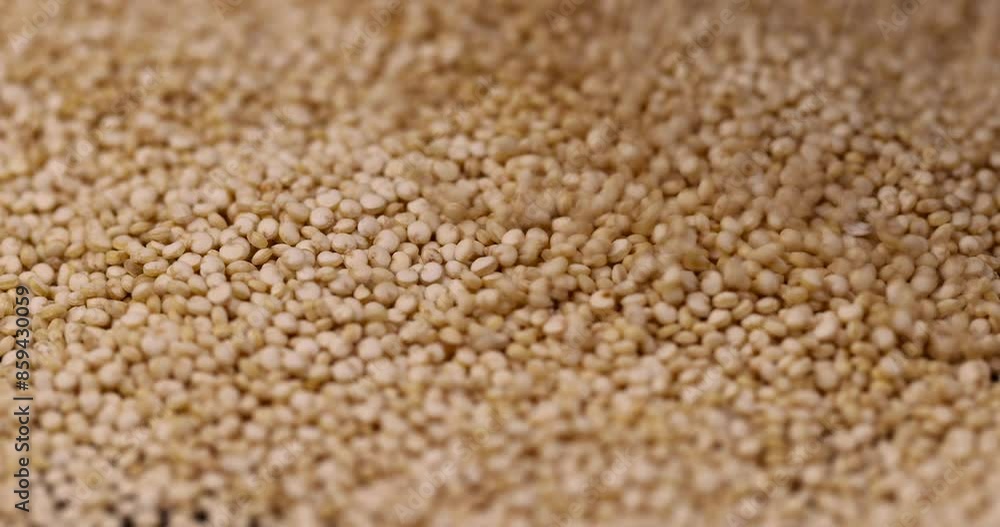 raw crumbly quinoa porridge in the kitchen, a large amount of quinoa groats during porridge cooking raw crumbly quinoa porridge in the kitchen, a large amount of quinoa groats during porridge cooking