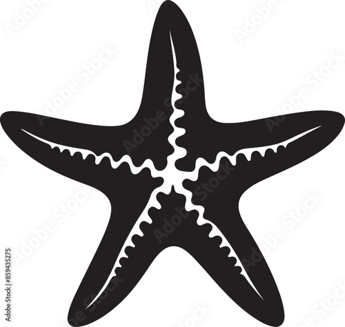 Star Fish Silhouette Vector Illustration White Background