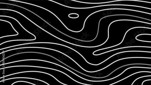 abstract wavy background. topographic contour background. contour lines background. Topographic map contour background.