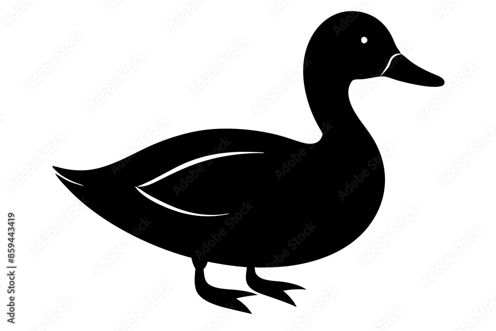 duck ,vector ,silhouette , illustration. duck ,vector ,silhouette , illustration.