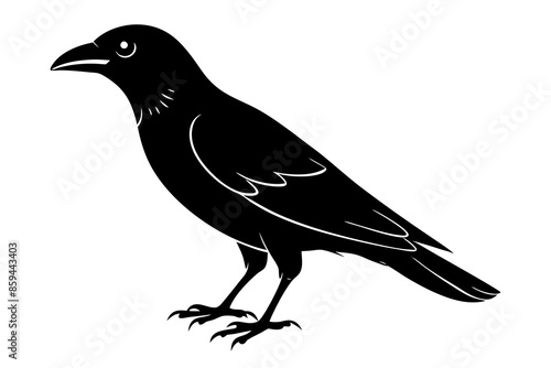 crow ,vector , silhouette , illustration .