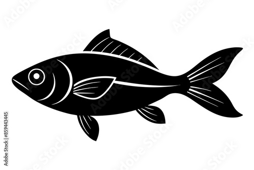  fish , vector , silhouette , illustration 