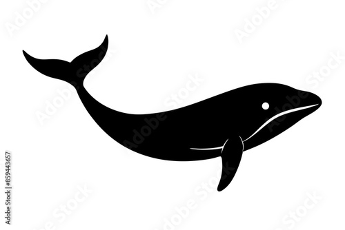 whale vector , silhouette, illustration ,