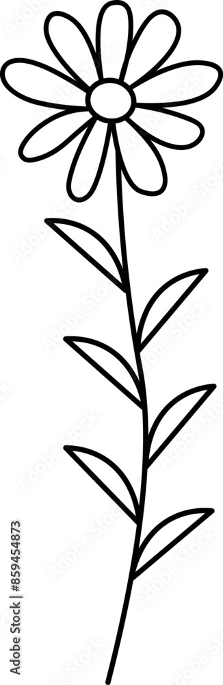 Wild flower line art. Flat isolated hand drawn flowers. Vector illustration. Wild flower line art. Flat isolated hand drawn flowers. Vector illustration.