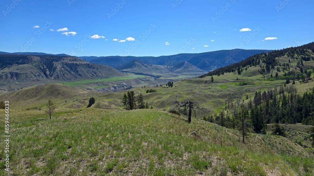 Naklejka premium Grasslands