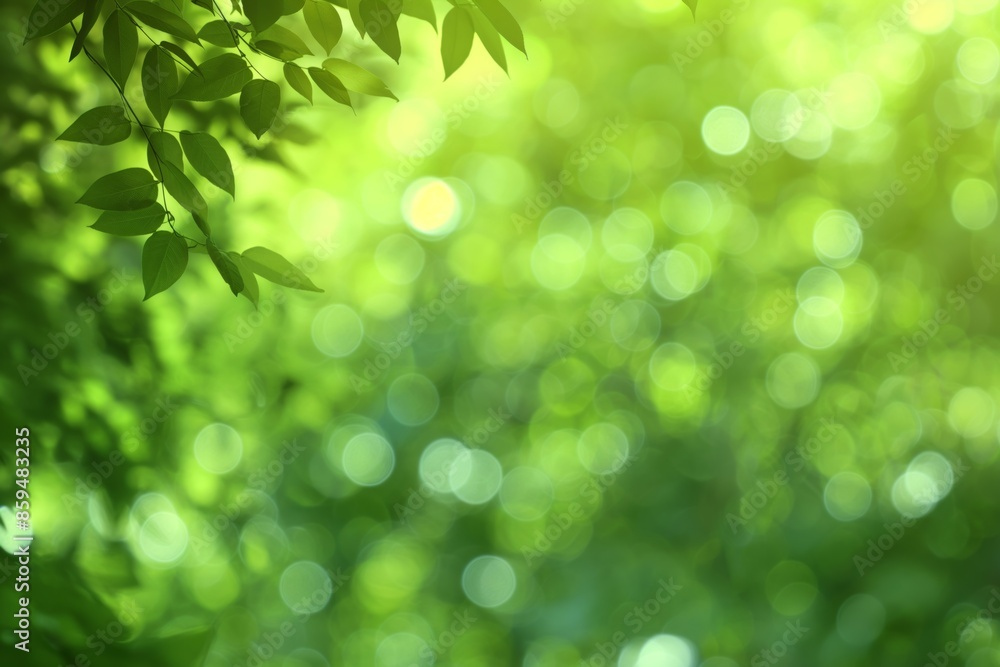 Fresh greenery and vibrant growth in a sunlit garden with bright foliage and blurred bokeh background. Fresh greenery and vibrant growth in a sunlit garden with bright foliage and blurred bokeh background.