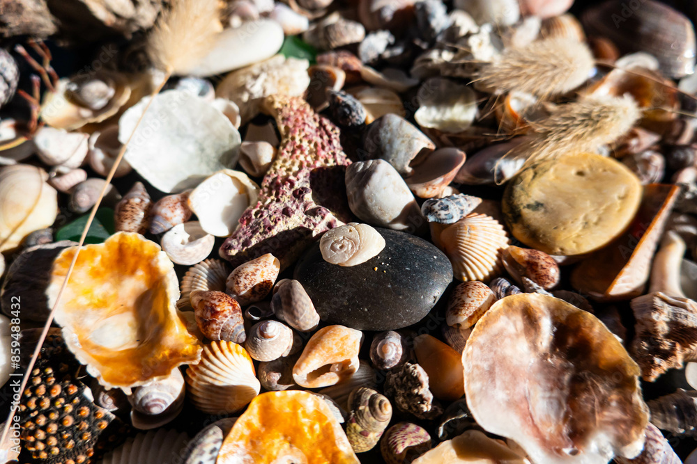 Fototapeta premium Sea treasures: mix of beautiful seashells, pebbles and colorful glasses found on Sardinian beaches in Italy.