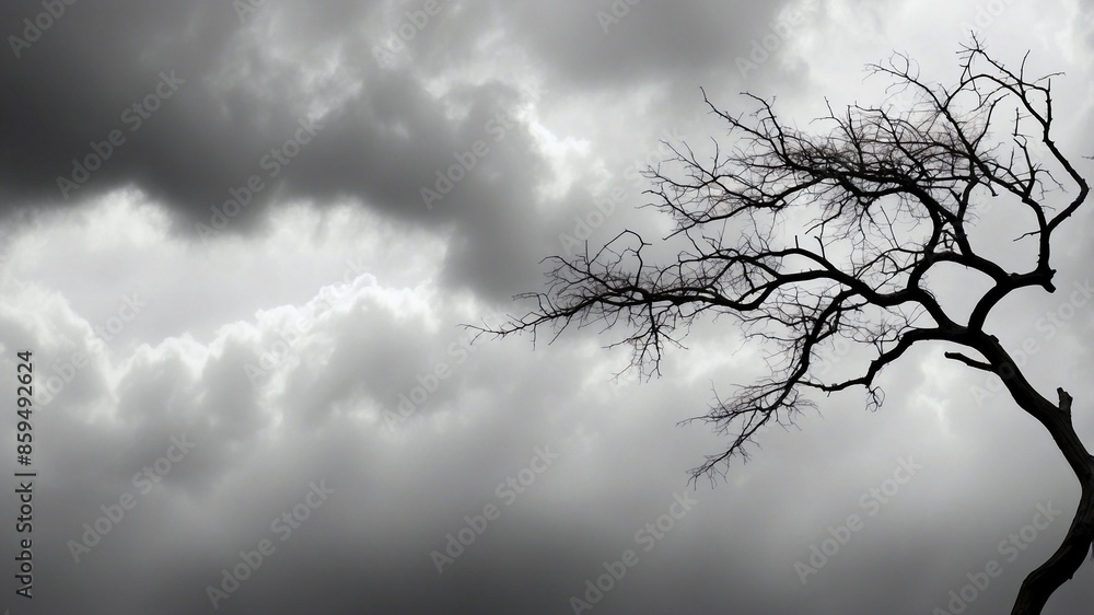 An artistic black and white image of a tree branch against a cloudy sky. The stark contrast and simplicity of the composition evoke a sense of solitude and contemplation. An artistic black and white image of a tree branch against a cloudy sky. The stark contrast and simplicity of the composition evoke a sense of solitude and contemplation.