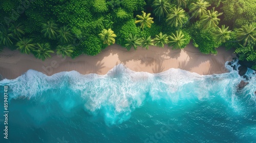 Aerial View of Tropical Beach with Lush Palm Trees and Waves © Anastasiia