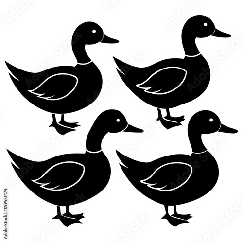 set of ducks