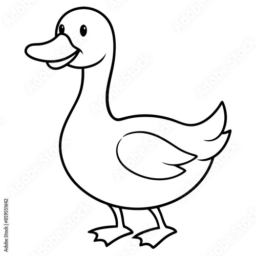 duck isolated on white