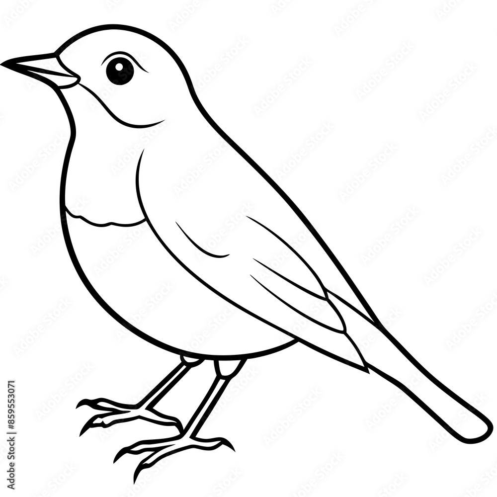 Obraz premium bird on a branch