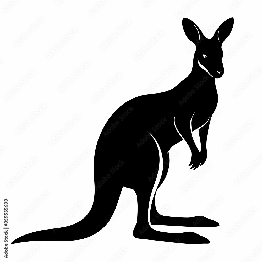 kangaroo illustration kangaroo illustration