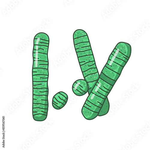 Oscillatoria is a genus of filamentous cyanobacteria or blue-green algae. They are commonly found in various aquatic environments, including freshwater, marine habitats, and moist terrestrial areas