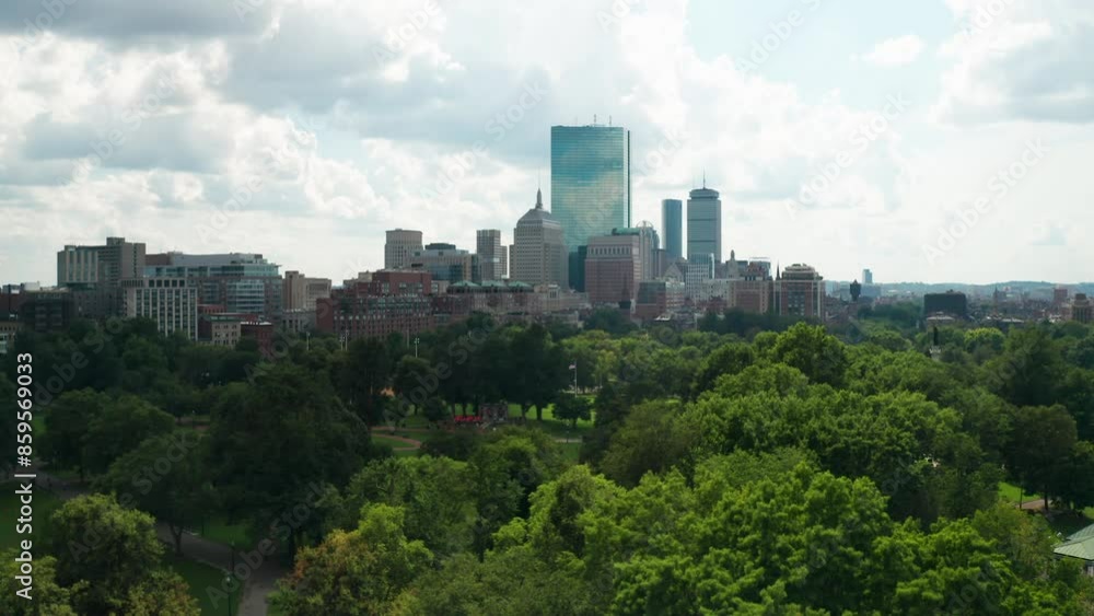 Boston Sky Line Revealed Through the Trees of Boston Common Boston Sky Line Revealed Through the Trees of Boston Common