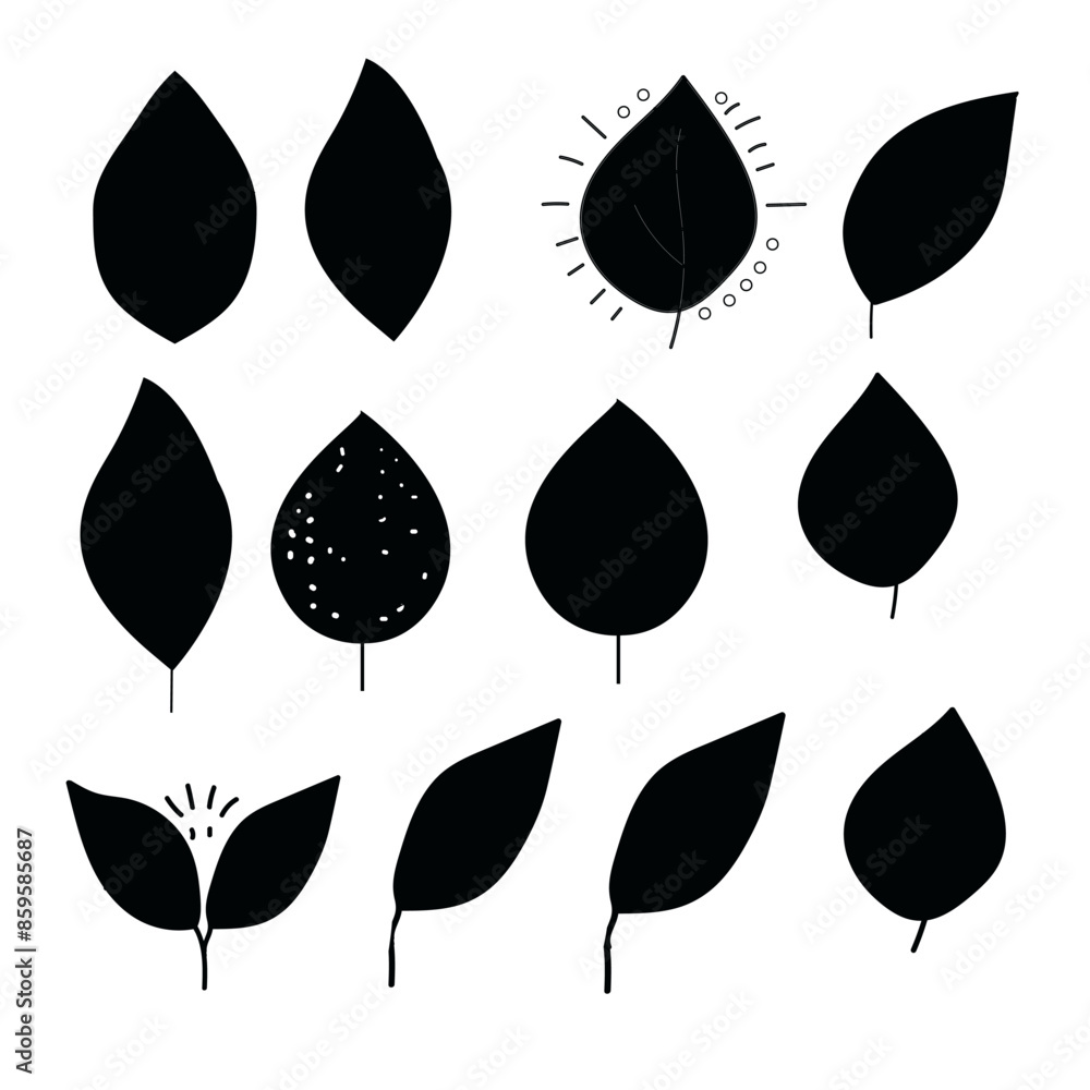 Leaves of Nature: A Botanical Collection Leaves of Nature: A Botanical Collection