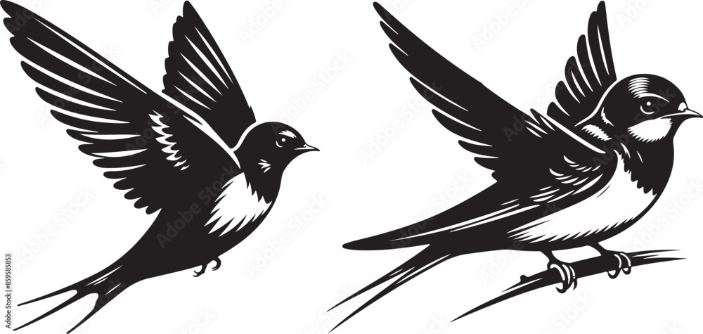 Obraz premium Barn Swallow Vector image