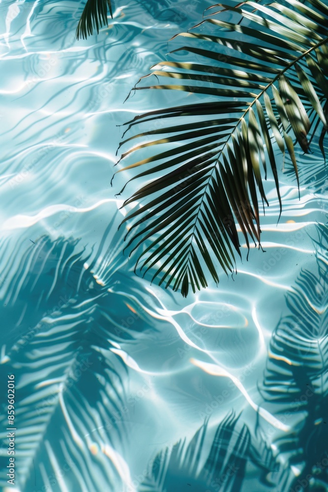 A close-up view of a palm leaf floating on the surface of a pool A close-up view of a palm leaf floating on the surface of a pool