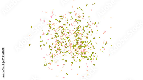 Leaves and Petals Blast on white background 