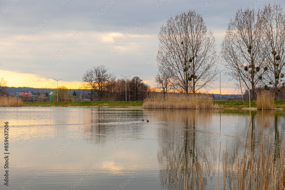 Landscape in the countryside by the lake. A quiet place to relax by the water. Landscape in the countryside by the lake. A quiet place to relax by the water.