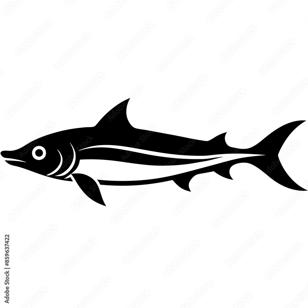 Obraz premium shark isolated on white
