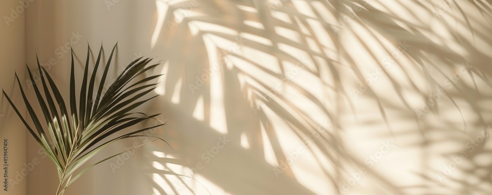Palm leaf and shadow on beige wall, minimalistic decor Palm leaf and shadow on beige wall, minimalistic decor