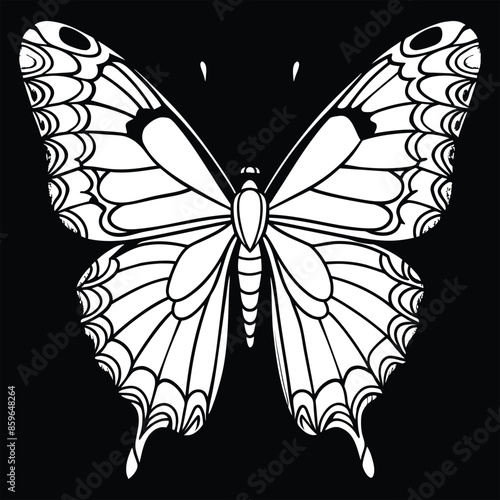 coloring book admiral butterfly black vector art illustration