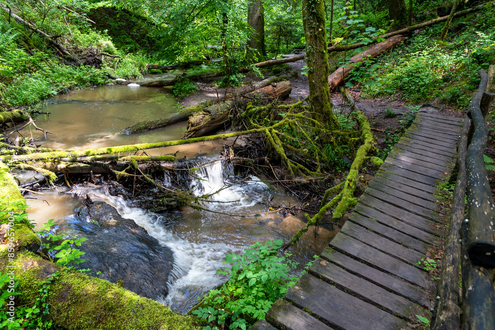 Fototapeta premium Strümpfelbachtal