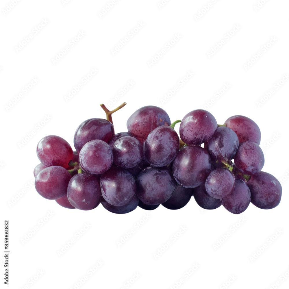 A bunch of red grapes, still on the vine, with an isolated background. A bunch of red grapes, still on the vine, with an isolated background.