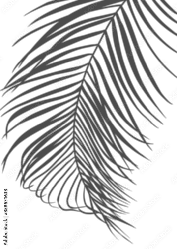 Shadow Palm Leaves silhouette ,Blurry Tropical Coconut Leaf Overlay, Element object for Spring Summer, Mock up Product Presentation Shadow Palm Leaves silhouette ,Blurry Tropical Coconut Leaf Overlay, Element object for Spring Summer, Mock up Product Presentation