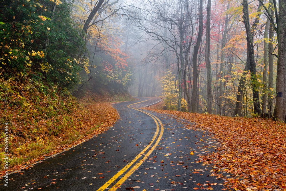 Winding road through autumn foliage, Great Smoky Mountains, Tennessee Winding road through autumn foliage, Great Smoky Mountains, Tennessee