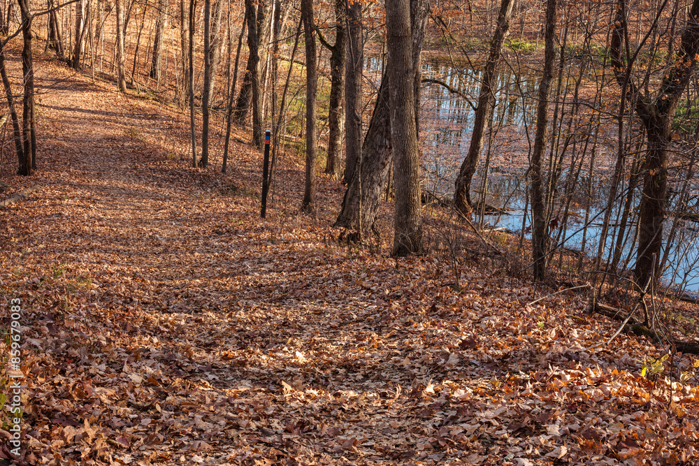 The hiking trail, covered with leeaves in early November, parallels a small kettle pond within Pike Lake Unit, Kettle Moraine State Forest, Hartford, Wisconsin The hiking trail, covered with leeaves in early November, parallels a small kettle pond within Pike Lake Unit, Kettle Moraine State Forest, Hartford, Wisconsin