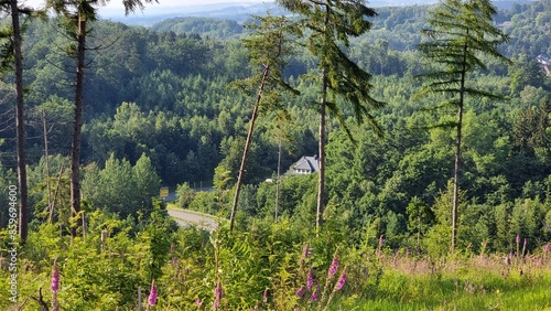 panoramic view on the eggeosthang near horn-bad meinberg photo