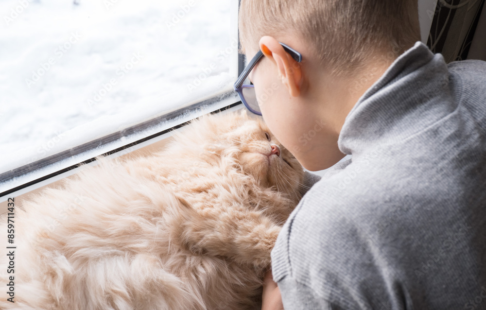 A child, a boy plays with his favorite fluffy red cat by the window. A child strokes a cat. Attachment between children and pets. The funny life of cats at home