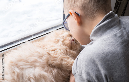 A child, a boy plays with his favorite fluffy red cat by the window. A child strokes a cat. Attachment between children and pets. The funny life of cats at home