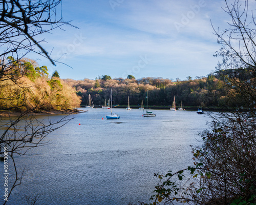 boats anchored in river water flanked by tall green trees in Autumn season photo