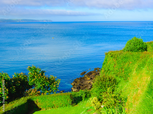 view of the Atlantic ocean from a green tree covered cliff photo