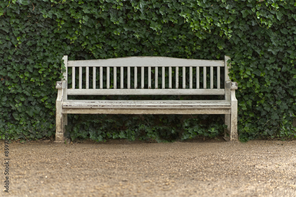 Wooden bench painted white in a park in Berlin. Wooden bench painted white in a park in Berlin.