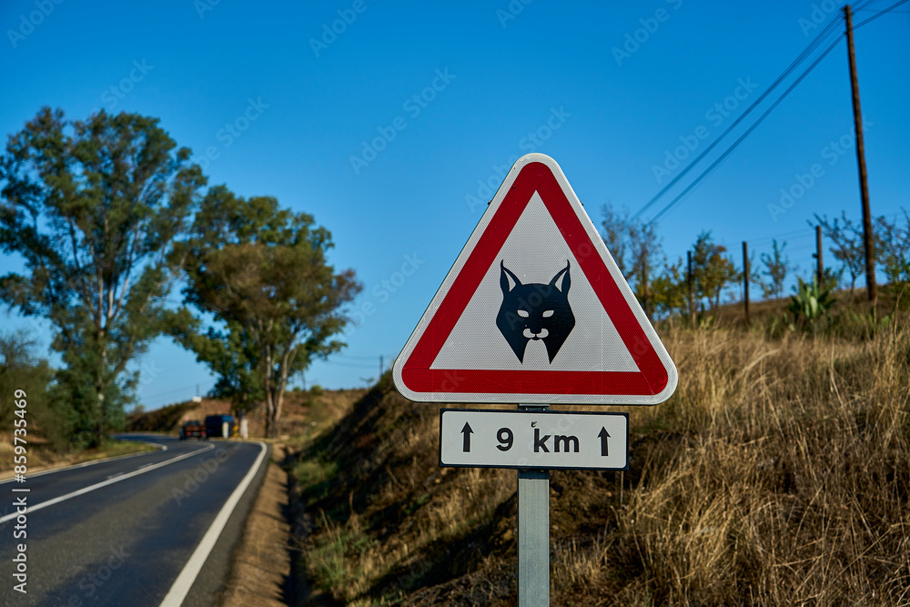 road warning sign of Iberian Lynx in Portugal road warning sign of Iberian Lynx in Portugal