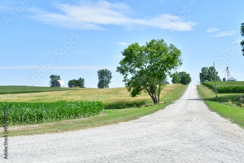 Gravel Road by a Farm Field