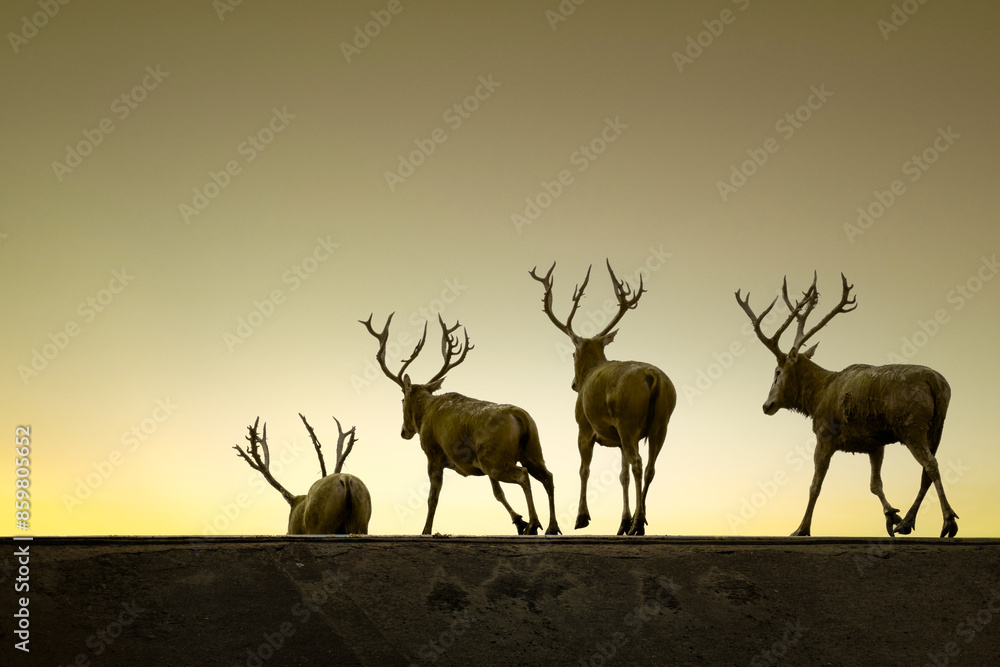 Silhouettes of a procession of elk walking in the morning sun. Silhouettes of a procession of elk walking in the morning sun.